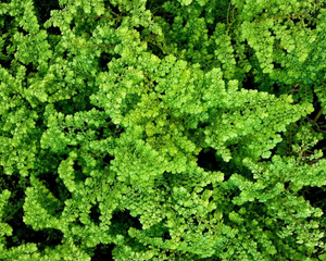 Почему миллениалам не подходят традиционные инвестиции?