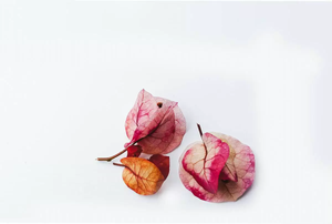 Комиссия ETF: за что и как она платится? Объясняем подробно с примерами