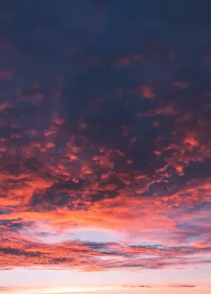 10 челленджей в новом году, которые помогут накопить больше денег