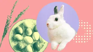 Проведение сделок в пасхальные праздники