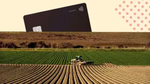 Чему инвесторы могут научиться у фермеров