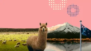 Делят расходы на покупку жилья и живут в кредит: как тратят деньги жители Новой Зеландии