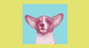 Хвост виляет собакой, или комментарии об эластичности рынков ETF