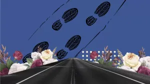 Почему Vanguard (возможно) сбился с пути, или к чему приводит политика рекордно низких комиссий по ETF