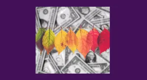 Летом нельзя инвестировать, а также другие мифы про сезоны и деньги